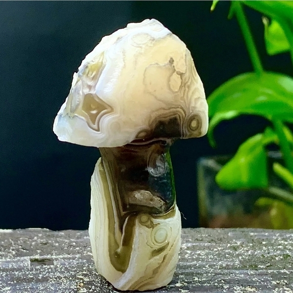 33G Natural Gobi Thousand Eyed Agate Mushroom Shape Natural Gemstone Hand Carved - Picture 1 of 8